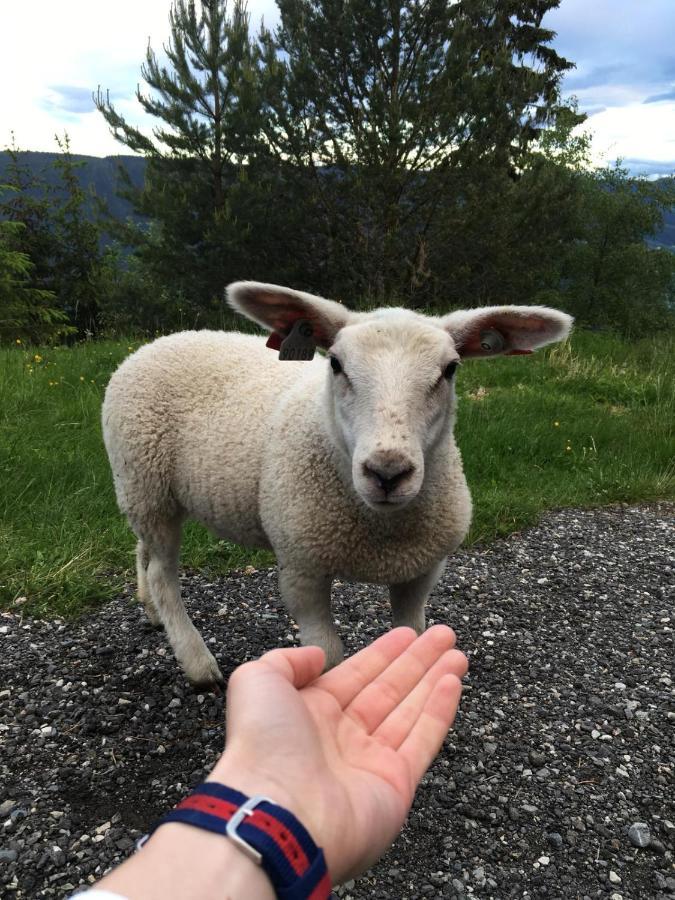 Pyntaberget Hotell Sør-Fron エクステリア 写真